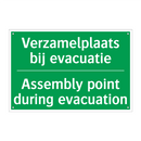Verzamelplaats bij evacuatie - Assembly point during evacuation /.../