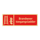 Brandweer toegangsladder