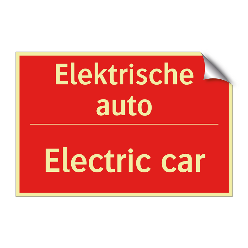 Elektrische auto - Electric car
