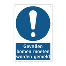 Gevallen bomen moeten worden gemeld & Gevallen bomen moeten worden gemeld