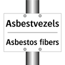 Asbestvezels - Asbestos fibers