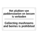 Het plukken van paddenstoelen /.../ - Collecting mushrooms and berries /.../