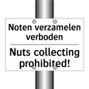 Noten verzamelen verboden - Nuts collecting prohibited!
