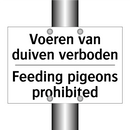 Voeren van duiven verboden - Feeding pigeons prohibited
