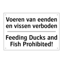 Voeren van eenden en vissen verboden/.../ - Feeding Ducks and Fish Prohibited!/.../