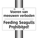 Voeren van meeuwen verboden - Feeding Seagulls Prohibited!