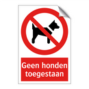 Geen honden toegestaan