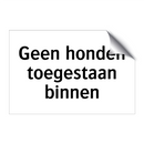 Geen honden toegestaan binnen & Geen honden toegestaan binnen & Geen honden toegestaan binnen
