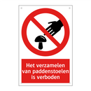 Het verzamelen van paddenstoelen is verboden