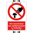 Het verzamelen van paddenstoelen is verboden