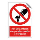 Het verzamelen van paddenstoelen is verboden
