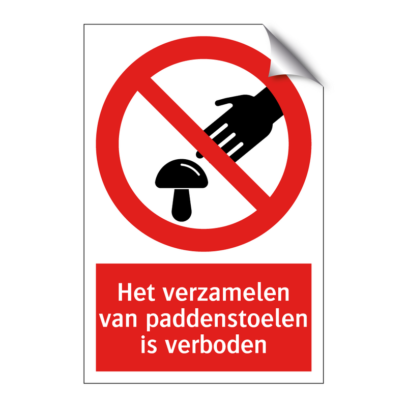 Het verzamelen van paddenstoelen is verboden