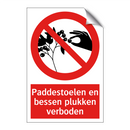 Paddestoelen en bessen plukken verboden