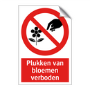 Plukken van bloemen verboden