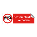 Bessen plukken verboden