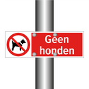 Geen honden