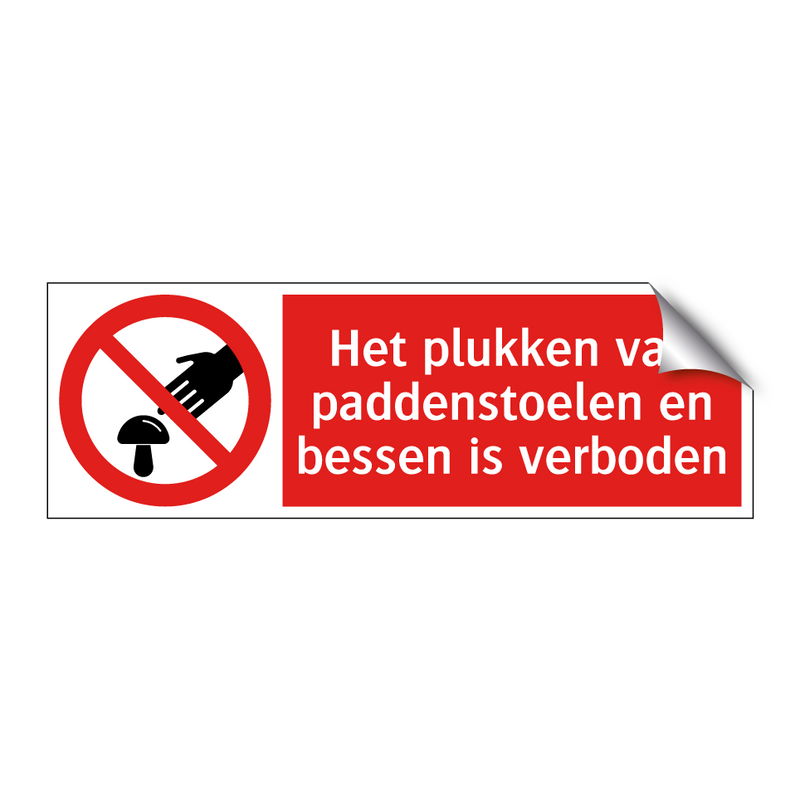 Het plukken van paddenstoelen en bessen is verboden