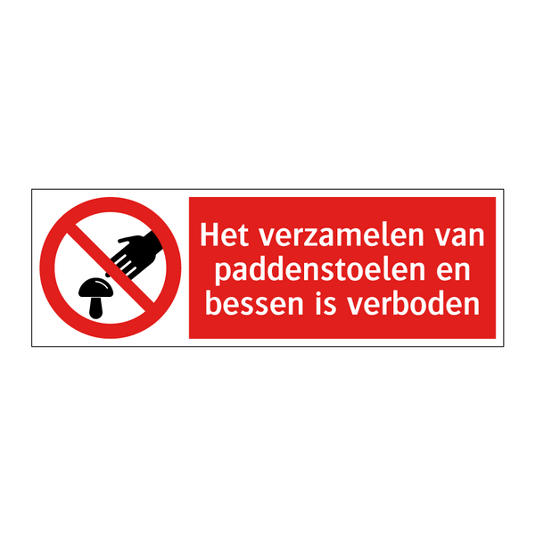 Het verzamelen van paddenstoelen en bessen is verboden