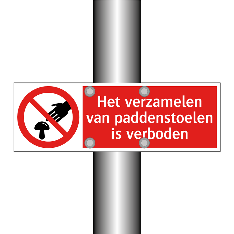 Het verzamelen van paddenstoelen is verboden