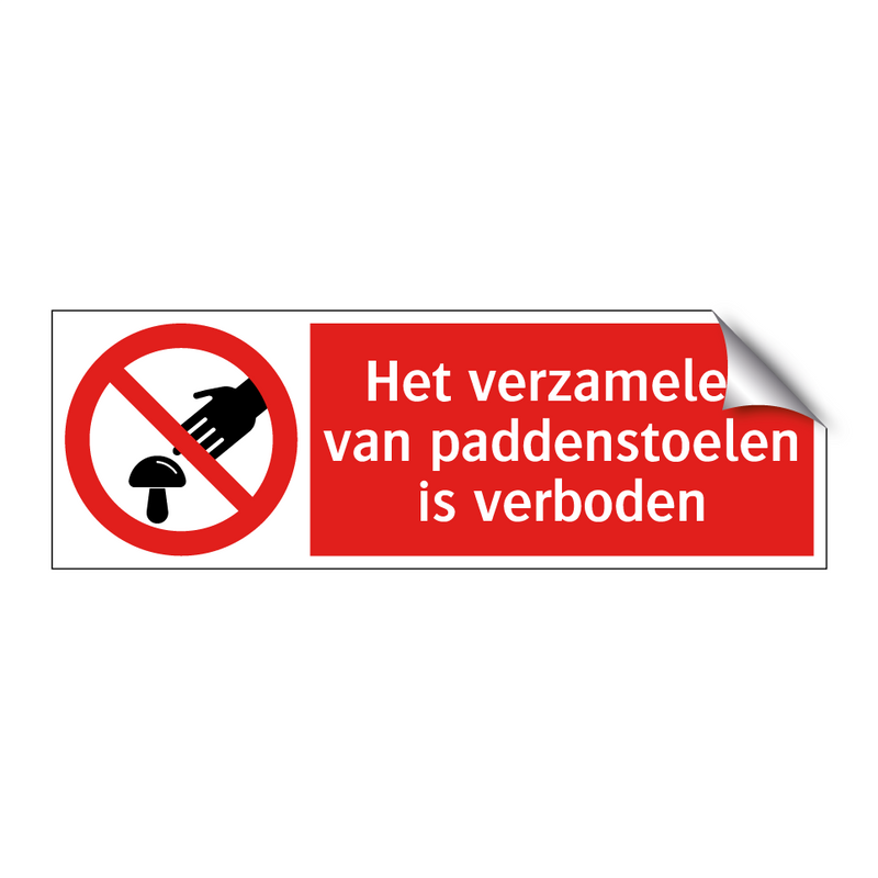 Het verzamelen van paddenstoelen is verboden