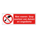 Niet voeren: Stop overlast van duiven en ongedierte
