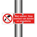 Niet voeren: Stop overlast van duiven en ongedierte