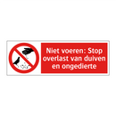 Niet voeren: Stop overlast van duiven en ongedierte