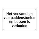 Het verzamelen van paddenstoelen en bessen is verboden