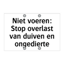 Niet voeren: Stop overlast van duiven en ongedierte