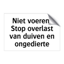 Niet voeren: Stop overlast van duiven en ongedierte