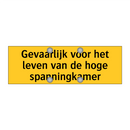 Gevaarlijk voor het leven van de hoge spanningkamer