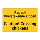 Pas op! Overstekende kippen - Caution! Crossing chickens