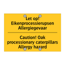 Let op! Eikenprocessierupsen Allergiegevaar - Caution! Oak processionary caterpillars Allergy hazard