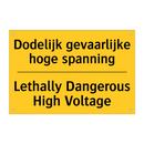 Dodelijk gevaarlijke hoge spanning - Lethally Dangerous High Voltage