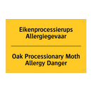 Eikenprocessierups Allergiegevaar - Oak Processionary Moth Allergy Danger