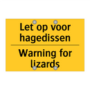 Let op voor hagedissen - Warning for lizards & Let op voor hagedissen - Warning for lizards