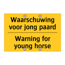 Waarschuwing voor jong paard - Warning for young horse