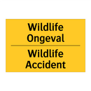 Wildlife Ongeval - Wildlife Accident & Wildlife Ongeval - Wildlife Accident