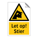 Let op! Stier