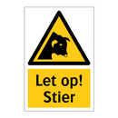 Let op! Stier