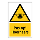 Pas op! Hoornaars