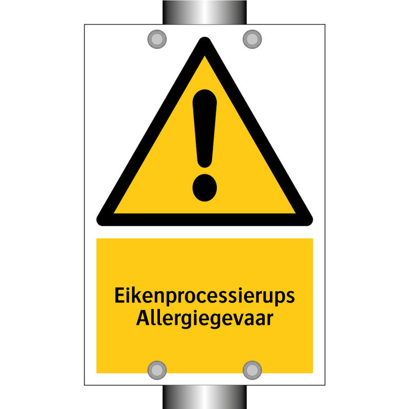 Eikenprocessierups Allergiegevaar & Eikenprocessierups Allergiegevaar