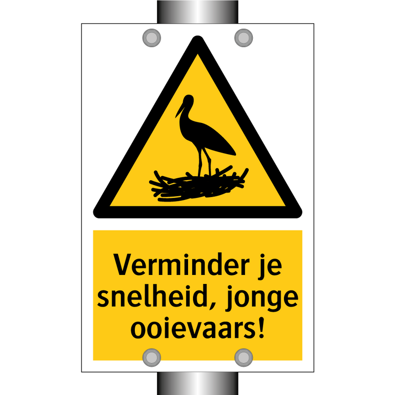 Verminder je snelheid, jonge ooievaars! & Verminder je snelheid, jonge ooievaars!