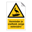 Verminder je snelheid, jonge ooievaars! & Verminder je snelheid, jonge ooievaars!