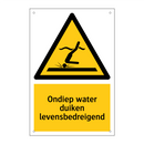 Ondiep water duiken levensbedreigend & Ondiep water duiken levensbedreigend