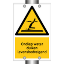 Ondiep water duiken levensbedreigend & Ondiep water duiken levensbedreigend