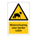Waarschuwing voor border collie & Waarschuwing voor border collie & Waarschuwing voor border collie