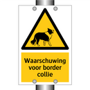 Waarschuwing voor border collie & Waarschuwing voor border collie & Waarschuwing voor border collie
