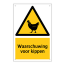 Waarschuwing voor kippen & Waarschuwing voor kippen & Waarschuwing voor kippen