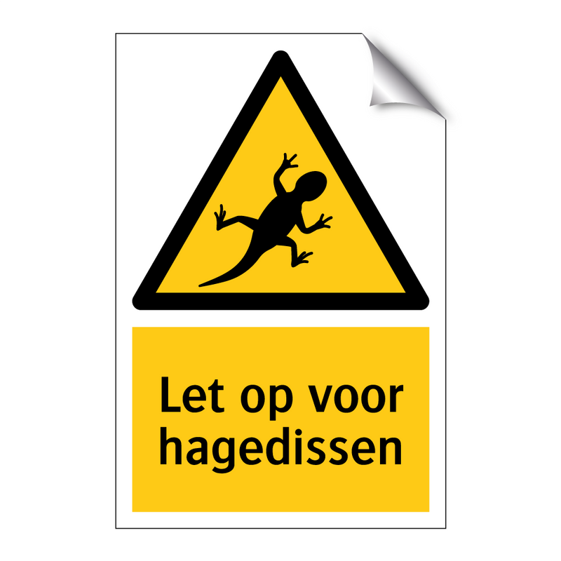 Let op voor hagedissen & Let op voor hagedissen & Let op voor hagedissen & Let op voor hagedissen